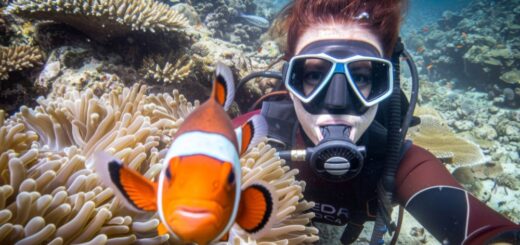 snorkeling aruba